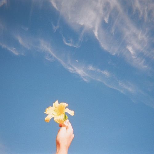 Cover von I Should've Told You