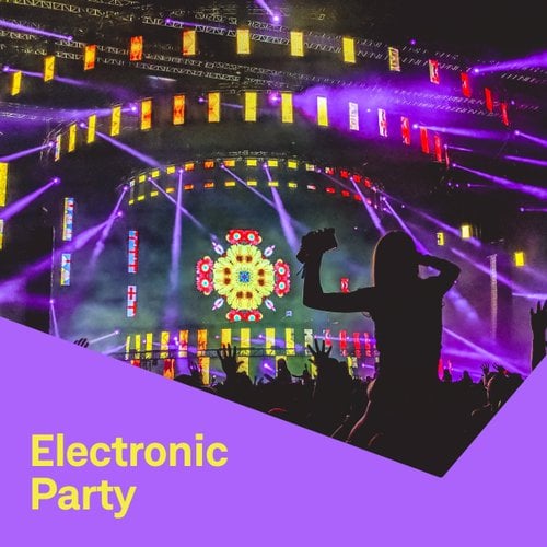 Electronic Party