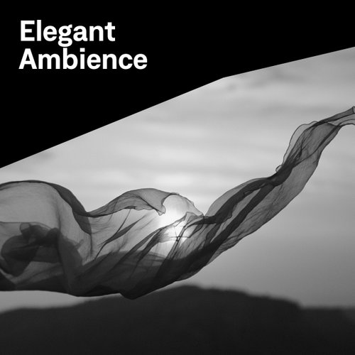 Elegant Ambience