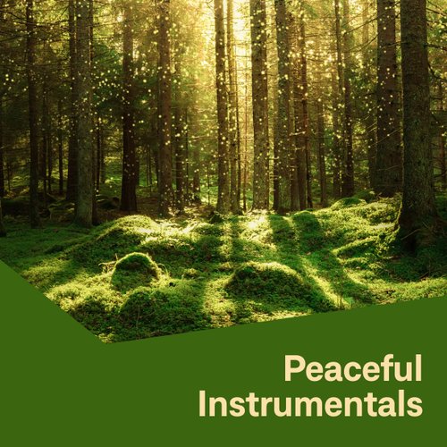 Peaceful Instrumentals