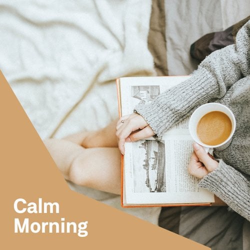 Calm Morning