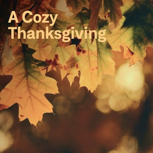 A Cozy Thanksgiving