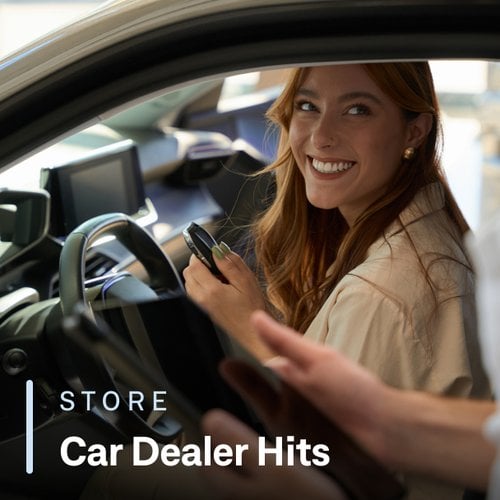 Car Dealer Hits